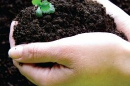Compost UK