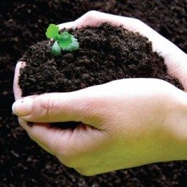 Compost UK