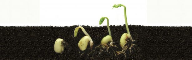 soil health