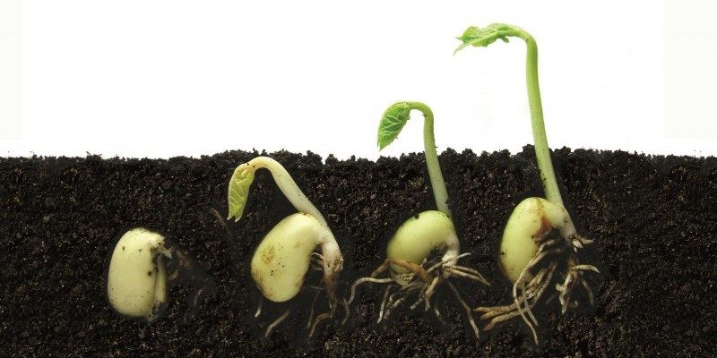 soil health soil health