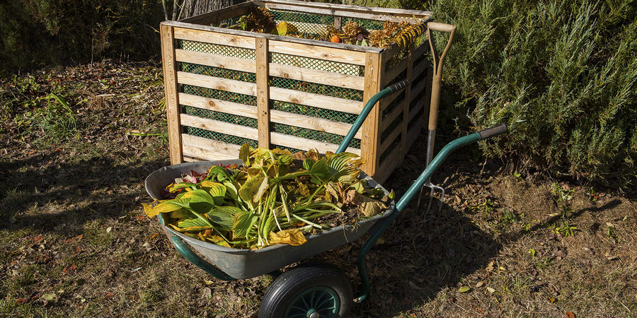 Thinking outside the compost box