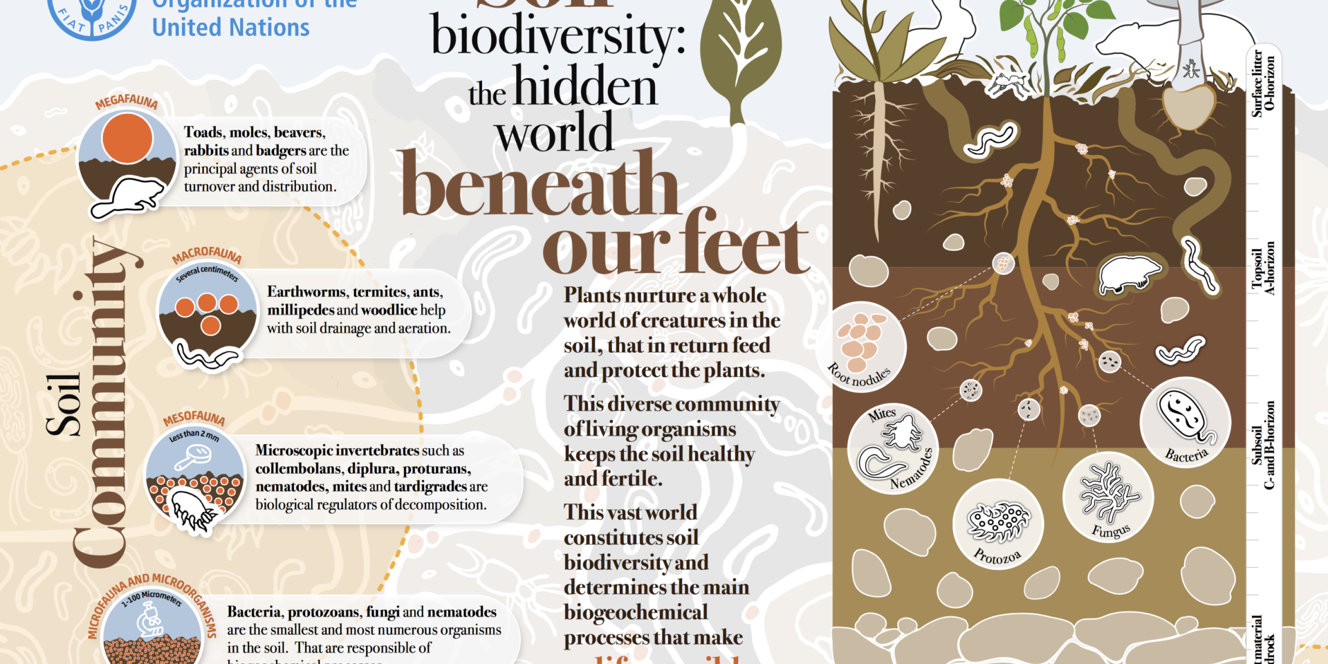 World Soil Day 2020 UN World Soil Day