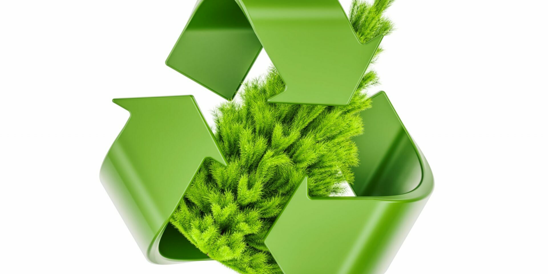 Christmas tree recycling illustration Christmas tree recycling
