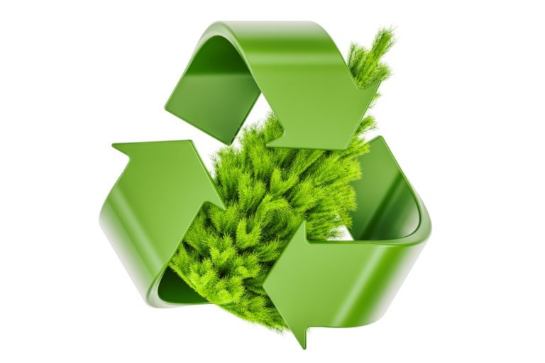 Christmas tree recycling