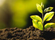 improving soil health