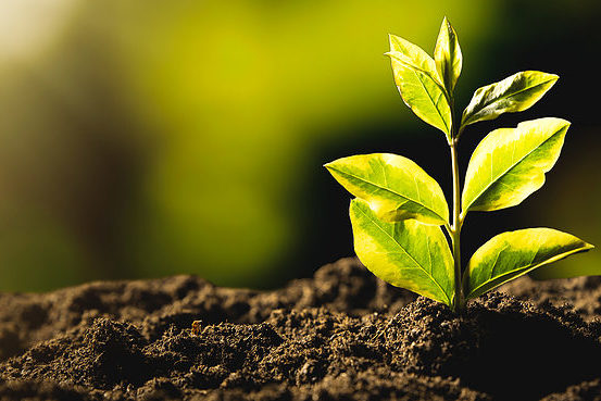 improving soil health