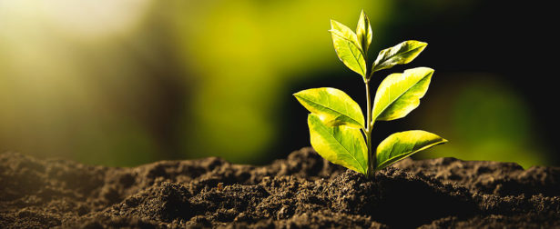improving soil health