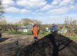 Compost delivery to Bluntisham allotments