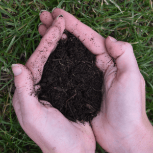 Rejuvenate Compost Soil Improver