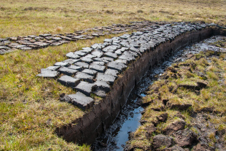 why go peat free