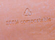 100% compostable