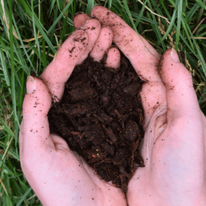 Mushroom compost