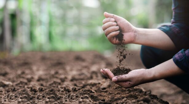 Benefits of soil