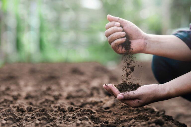 Benefits of soil Benefits of soil