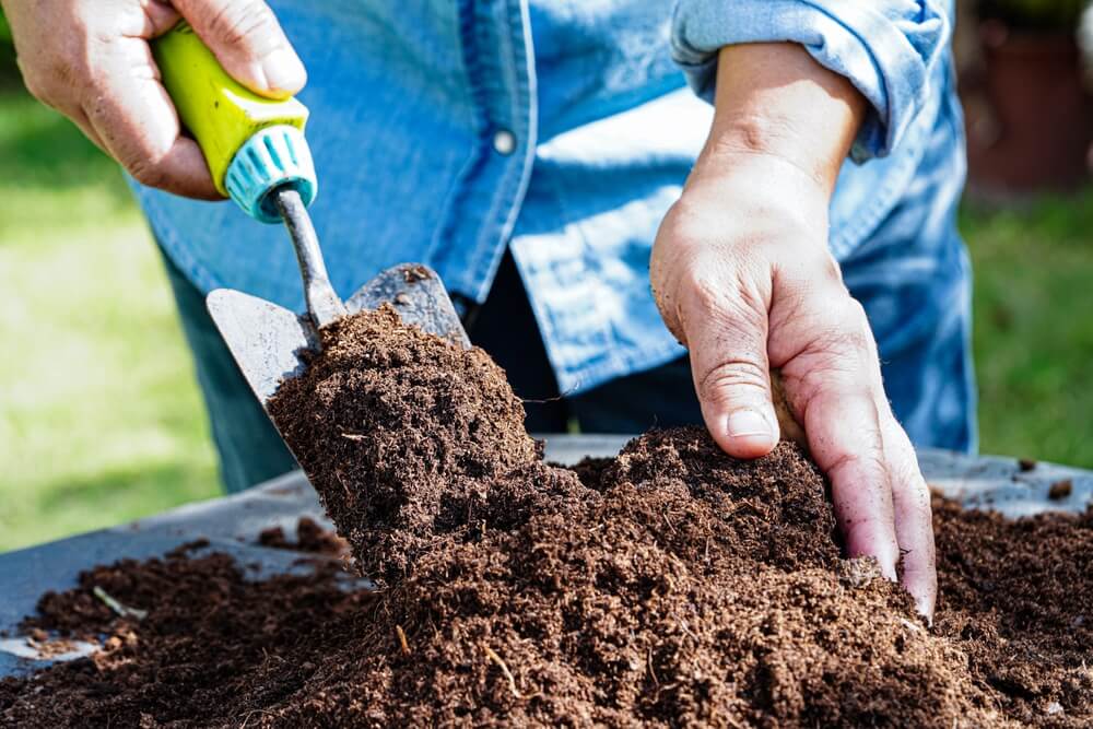 A person holding a shovel fertilising soil