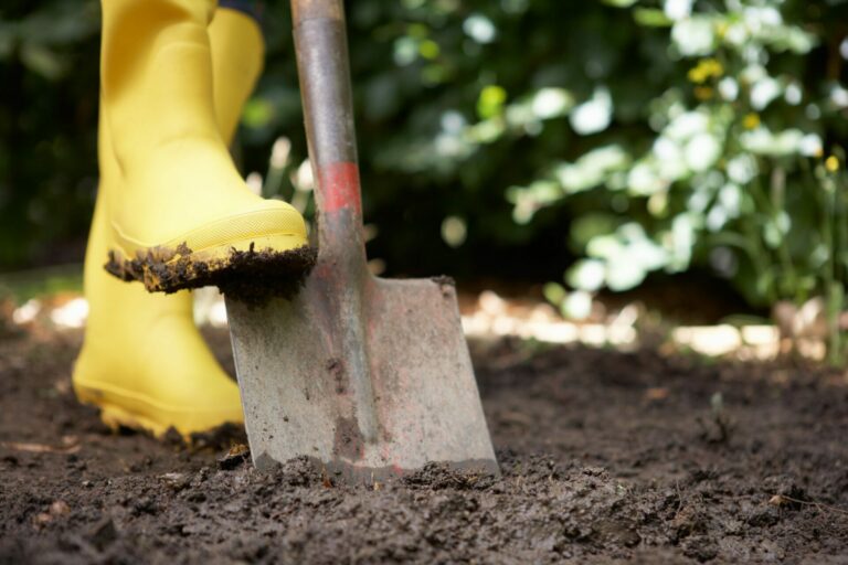 Person digging soil Image of person using a shovel to dig soil
