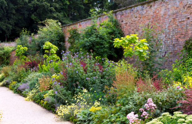 Garden Border