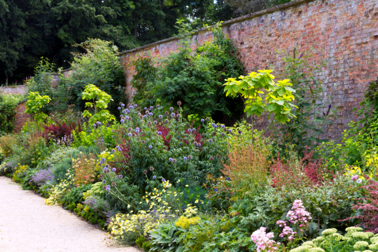 Garden-Border-Blog Garden Border