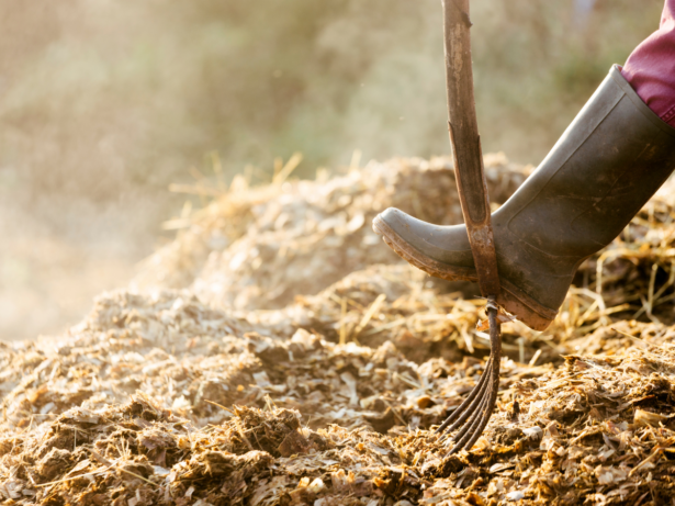 Alwyn Moss Ltd operations to resume and transition to Envar Composting Ltd