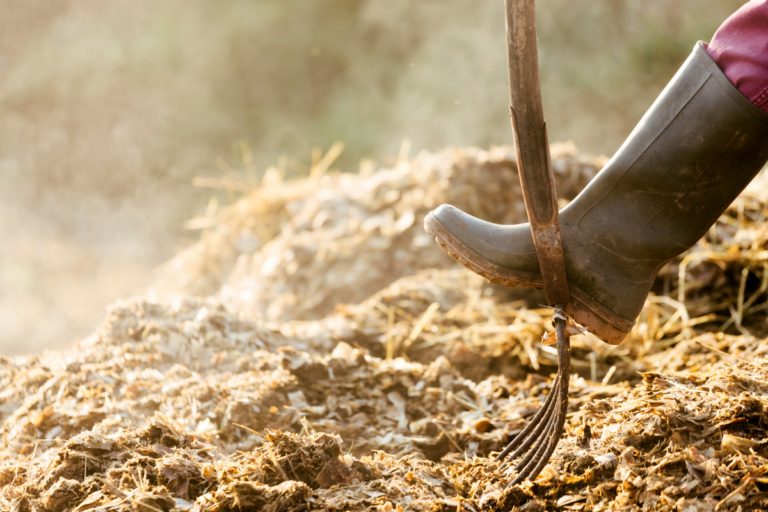 Alwyn Moss Ltd operations to resume and transition to Envar Composting Ltd Alwyn Moss Ltd operations to resume and transition to Envar Composting Ltd