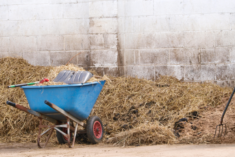 Muck Heap