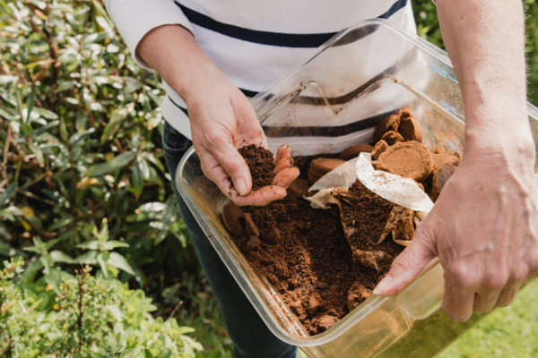 Coffee-Grounds Coffee-Grounds