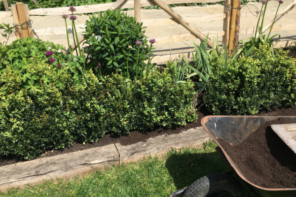 What is soil conditioner? What is soil conditioner?