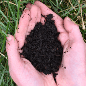 Coffee-Infused Soil Improver