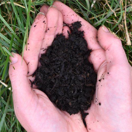 1 - Soil Improver